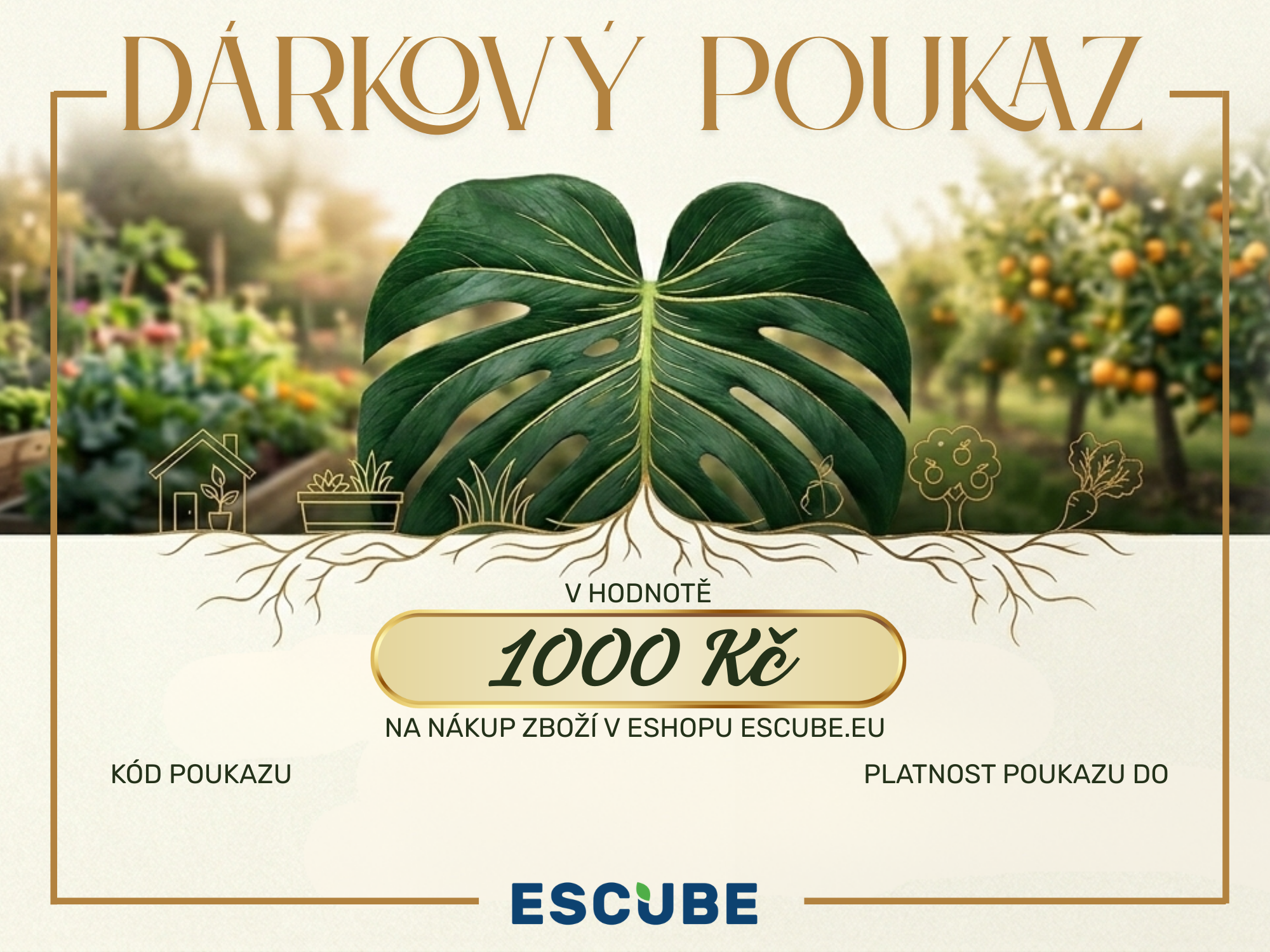 poukaz ESCUBE 1000